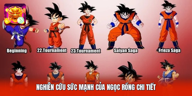 Nghiên cứu sức mạnh của ngọc rồng chi tiết