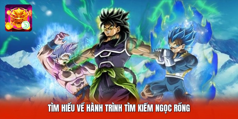Tìm hiểu về hành trình tìm kiếm ngọc rồng